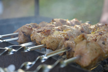 Pork kebab on a skewer