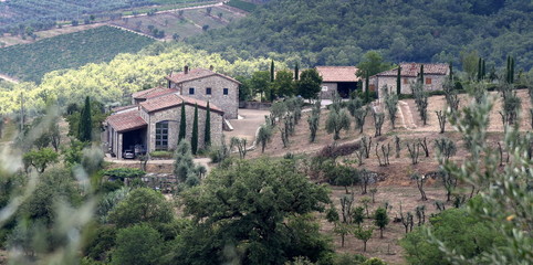 Weingut auf einem Hügel von Radda in Chianti