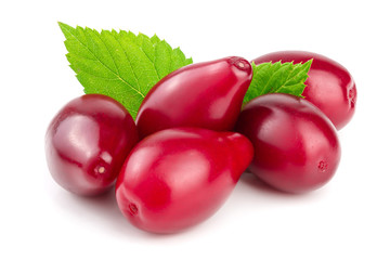 Red berries of cornel or dogwood with leaf isolated on white background