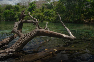 Obraz premium PARQUE ESTADUAL DO JALAPÃO - TO