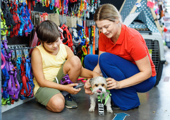Happy teen boy with mother visiting pet shop in search of accessories for their dog