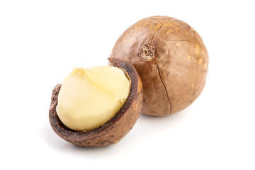 Shelled and unshelled macadamia nuts isolated on white background