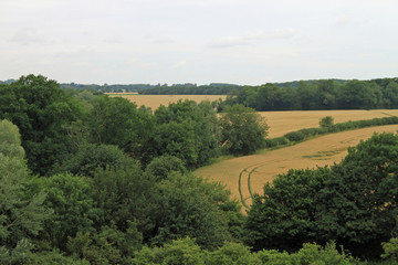 Fototapeta na wymiar A field seen from the walls of Framlingham