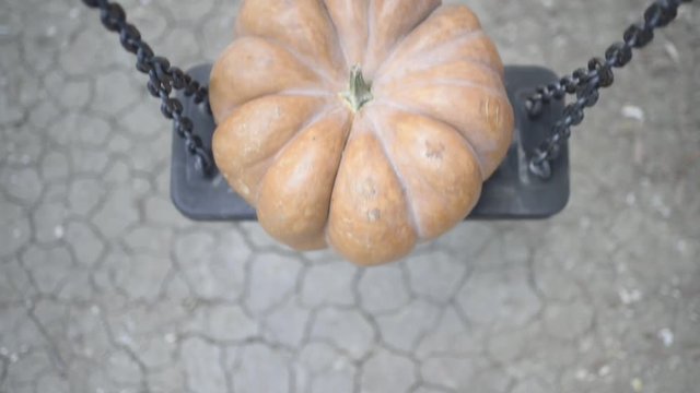 orange halloween pumpkin with carving on the swing, crushed type