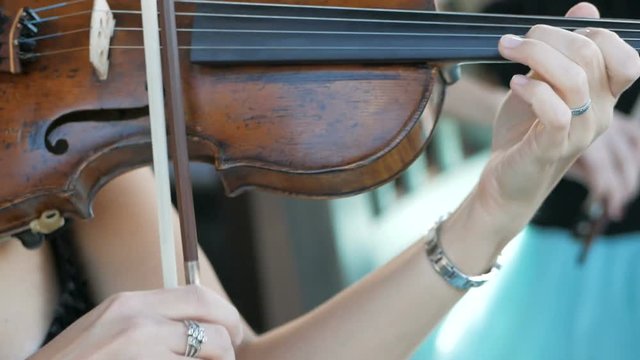 Girl plays the violin at the wedding celebration