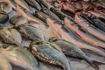 Fresh Fish at the Seafood Market, Traditional Fish in Market