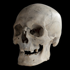 Obraz premium Human skull isolated on black, close-up