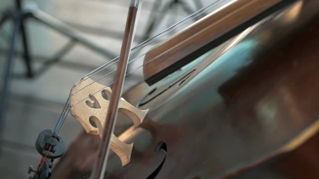 Girl plays the cello at the wedding celebration