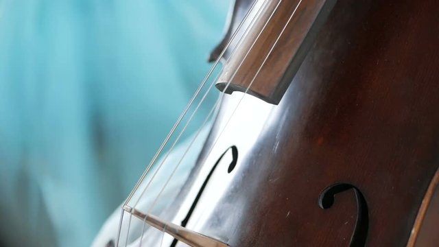 Girl plays the cello at the wedding celebration