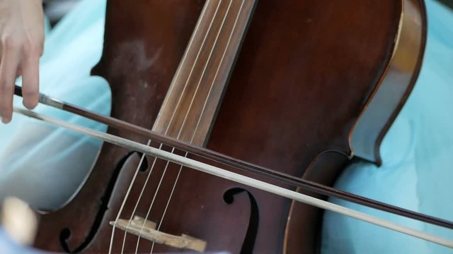 Girl plays the cello at the wedding celebration