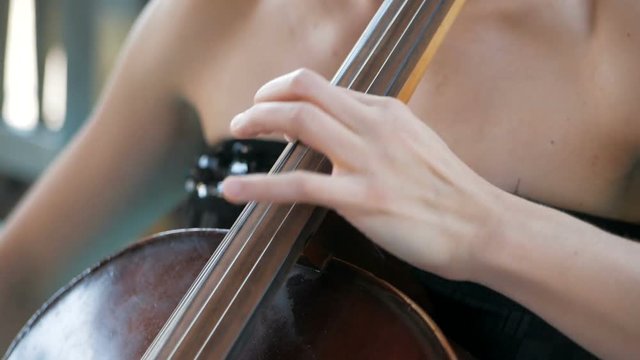 Girl plays the cello at the wedding celebration