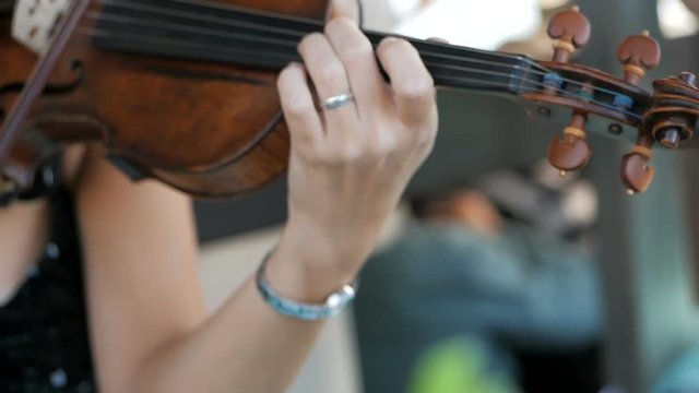 Girl plays the violin at the wedding celebration