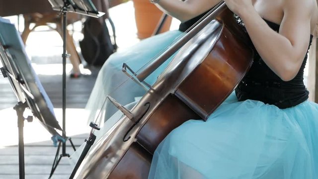 Girl plays the cello at the wedding celebration