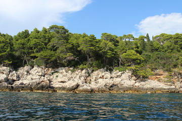 Natura selvaggia in riva al mare - incontaminato