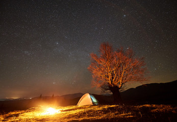 Fantastic night camping site view. Bright bonfire burning near tourist illuminated tent under beautiful starry sky. Big tree and distant mountain range on background. Tourism and traveling concept.