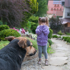Little girl is scared by a dog. 
