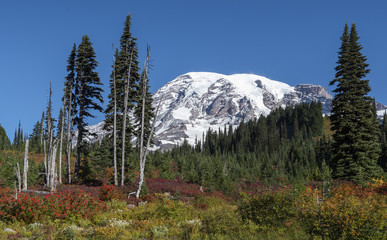Mt Rainier National Park is especially beautiful in autumn, when bright colors  come up..