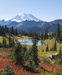 Mt Rainier National Park is especially beautiful in autumn, when bright colors  come up..