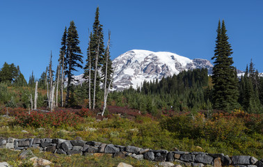 Mt Rainier National Park is especially beautiful in autumn, when bright colors  come up..