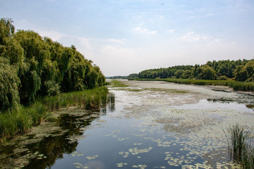 Views of Hungarian nature reserve Kis Balaton (Little Balaton)