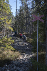 Obraz premium Hiking