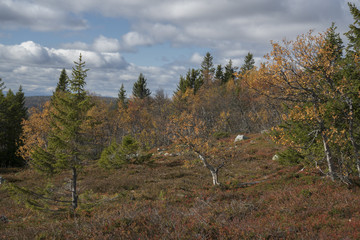 Autumn in the mountains