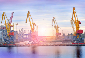Obraz premium Seaport with cranes landscape
