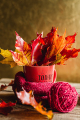 autumn leaves in a mug