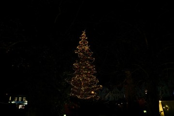 Christmas tree and decorations in the town. Slovakia