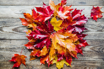 Naklejka na ściany i meble autumn leaves around on a wooden background
