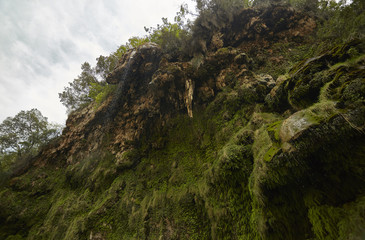 Sa Stiddiosa's dripstone