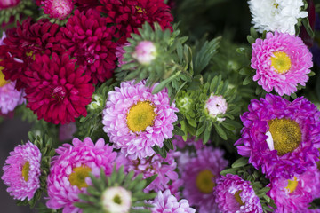 the Bouquets of pink asters and burgundy dahlias for sale at the entrance to the store