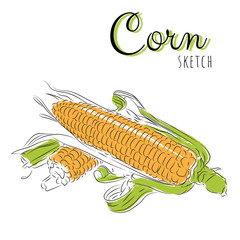 Hand drawn composition with corn.