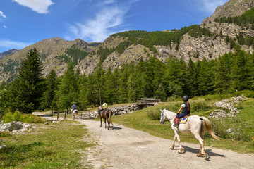 Equitazione su sentiero di montagna in mezzo ai prati con foreste e cime di monti sullo sfondo e cielo blu, Valle d'Aosta, Alpi Italiane