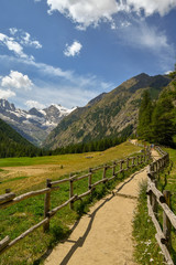 Sentiero per escursionisti tra campi di fieno in estate con montagne e cime innevate sullo sfondo, cielo blu con nubi, Parco Nazionale del Gran Paradiso, Valle d'Aosta, Alpi Italiane