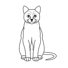 Vector illustration of a cat for coloring book, gatto vettoriale da colorare
