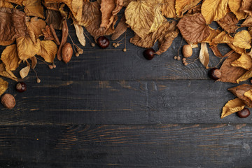 Autumn composition on a dark wooden table. Top view. Space for text.