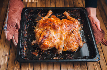 A baking tray with roast turkey in female hands. Thanksgiving Day. Homemade roasted chicken in a black pan on a wooden background. Lifestyle. Tobacco chicken.