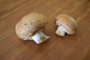 Closeup of mushrooms with a wooden background