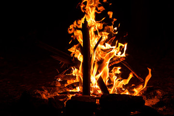 Campfire flame in the darkness of the night