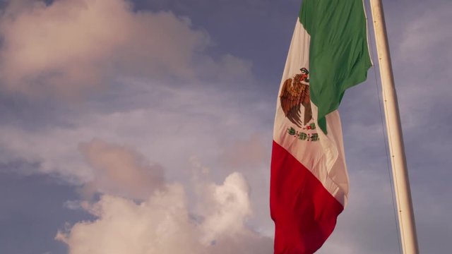 Mexican Flag 1