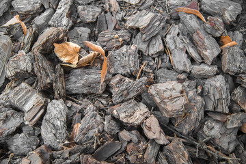 The texture yellow foliage and wood chips.