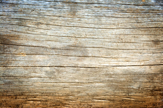 Alter Holzstamm am Meer