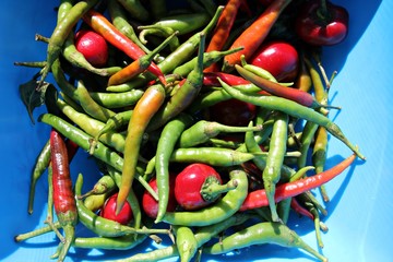 Hot chili peppers mix