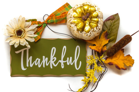 Autumn green thankful sign flower, pumpkin, cat tail and bow.