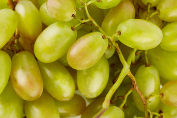 A glass of white wine with a bunch of green grapes on a white background. Alcoholic beverages.
