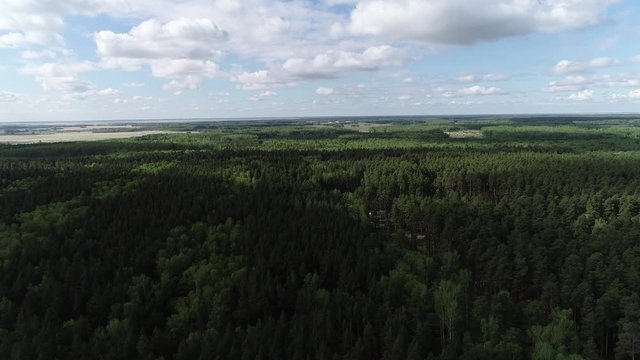 Flight over the Forrest
