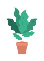 houseplant in pot icon