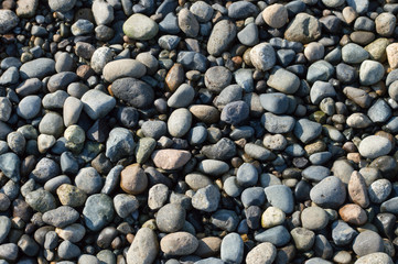 Rocks, pebbles, and stones in various shapes and colors at the shoreline.
