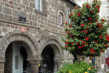 Fototapeta na wymiar Ville de Dol de Bretagne, Maisons «des Petits Palets» XIIe, une des plus anciennes de Bretagne, arbre et fleurs rouges, département d'Ille et vilaine, Bretagne, France